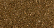 Dill Seeds 10g
