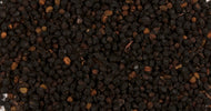 Elderberry, Whole 10g